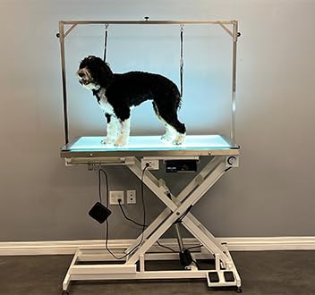 Cove Products LED Lit Master Groomer Electric Lift Grooming Table (Basic Package) Cove Products
