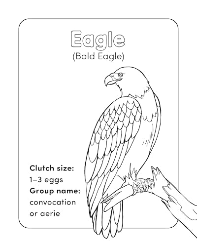 Bird Book for Kids: Coloring Fun and Awesome Facts (A Did You Know? Coloring Book) WoodArtSupply