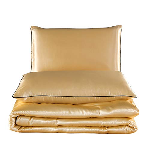 NTBED Sexy Silky Satin Comforter Sets Queen Golden Lightweight Soft Luxury Quilt 3-Pieces Microfiber Bedding Set Yellow (Gold, Queen) NTBED
