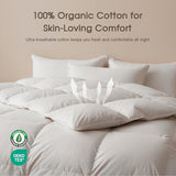 Cobnom® Feather and Down Fibres Comforter Full Size - 100% Organic Cotton, Quill-Free & Ethical, Luxury All Season Duvet Insert (White, 82x86 Inches) Cobnom