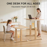 Fromann Dual Motor Standing Desk Frame, Electric Height Adjustable Desk Legs, Stand up Desk Base for Home Office Workstation, 270 lbs Weight Capacity, Max 36'' x 84'' Desktop, White Frame Only Fromann