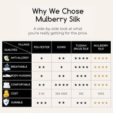 THE COTTON & SILK®️ 100% Mulberry Silk Filled Comforter for Spring/Fall/Mild Summer - Luxury, Ultra Soft, Breathable, Naturally Body-Hugging Silk Duvet Insert/Bedding Blanket - Twin XL THE COTTON & SILK