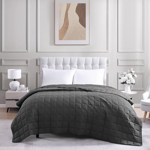 Casa Platino Twin Duvet Insert - Soft Blankets Lightweight Twin Size Bedding, Cooling Pre-Washed - Down Alternative Blanket - Charcoal Casa Platino