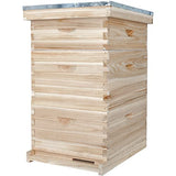 BeeCastle 10-Frame Complete Bee Hives and Supplies Starter Kit,Beehives for Beginners with Beehive Frames and Waxed Foundations (2 Deep Bee Boxes & 1 Medium Super Bee Box) BeeCastle
