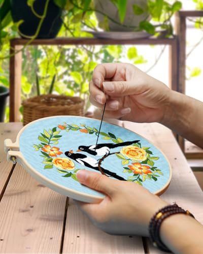 TINDTOP Embroidery Kit for Beginners Adult, Bird Embroidery Kit for Beginners Include Embroidery Cloth Hoops Threads for Craft Lover Hand Stitch with Embroidery Skill Techniques TINDTOP