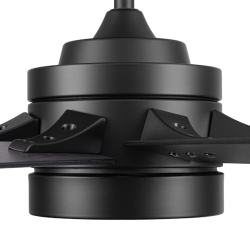 Honeywell Ceiling Fans Xerxes Modern 62 Inch Ceiling Fan with Light, Remote Control Fan, LED Indoor Fan with 8 Blades, Matte Black and Ash Blade Finish Options, Matte Black (51473-01) Honeywell