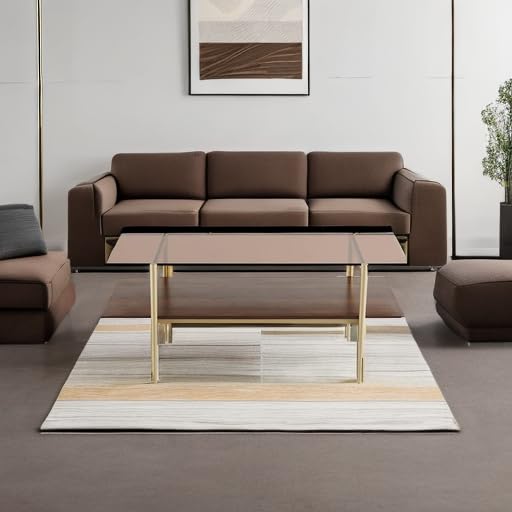 AGV LIGHTING 202206 Tadio Glass Coffee Table, Double Layer Coffee Table for Living Space, Gold Finish Frmae, Coffee Brown Glass Top & Walnut Brown Wood Top AGV LIGHTING