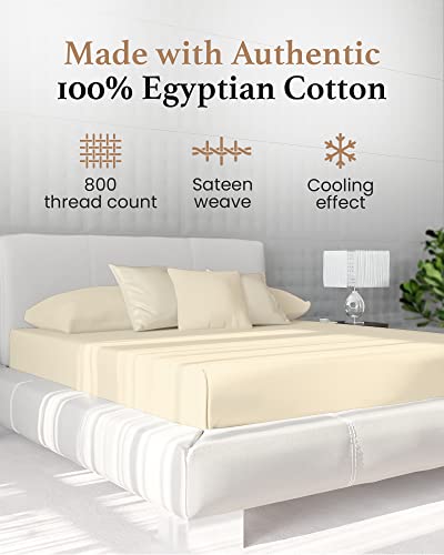 Good Sleep Bedding Twin XL Fitted Sheet - 800 TC Extra Long Twin Sheets for Dorm, 100% Egyptian Cotton, Soft & Breathable XL Twin Fitted Sheets Only, 16 Inch Twin XL Deep Pocket Fitted Sheets - Ivory Good Sleep Bedding