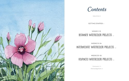 Wild Watercolor: Weekly Lessons and Techniques for Stunning Creations WoodArtSupply