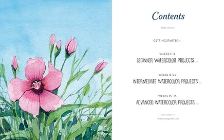Wild Watercolor: Weekly Lessons and Techniques for Stunning Creations WoodArtSupply