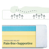 ZINUS 8 Inch Green Tea Cooling Memory Foam Mattress [New Version], Twin, Fiberglass Free, Medium Firmness, Cooling Gel Foam, Certified Safe Foams & Fabric, Mattress in A Box Zinus