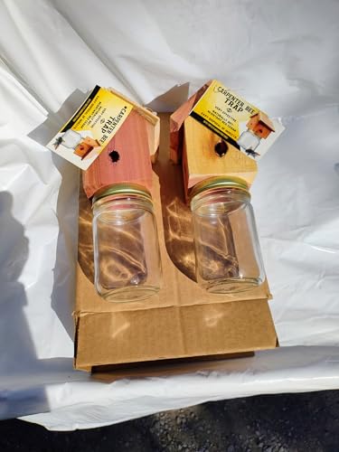 Amish Made Rustic Carpenter Bee Catching Device 2 Pack WoodArtSupply