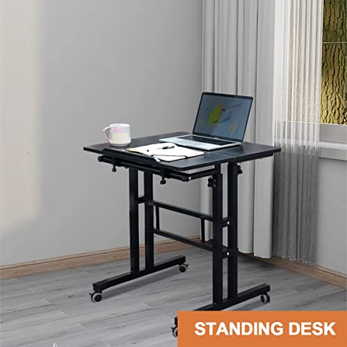 AIZ Double Table Mobile Standing Desk, Adjustable Computer Desk with Rolling Wheels, Portable Laptop Table for Standing or Sitting, Home Office Computer Workstation for Adults or Children AIZ