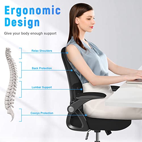 naspaluro Ergonomic Office Chair, Mid Back Desk Chairs with Adjustable Height, Swivel Chair with Flip-Up Arms and Lumbar Support, Breathable Mesh Computer Chair for Home/Study/Working, Dark Black naspaluro