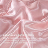 Satin Queen Comforter Set Silk Like Satin Bedding Set Hotel Soft Polyester Pink Bed Set Luxury Silky Pillow Cover with Quilt Set Ruffle Down Comforter Home Decor Bedding_Dreamer