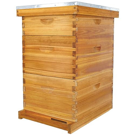 POLLIBEE 10 Frame Bee Hive, Beeswax Coated Beehive Include 2 Deep Bee Boxes and 1 Medium Bee Box with Beehive Frames and Foundation. POLLIBEE