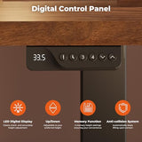 FitStand Dual Motor Standing Desk, Large Stand Up Desks, 79x31 Inches Electric Sit Stand Desks, 4 Memory Preset Adjustable Height Computer Table for Home Office with Splice Board (Brown) FitStand