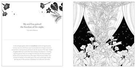 Floriographic: Midnight Garden: An Artist’s Coloring Book of Nighttime Floral Wonders Castle Point Books