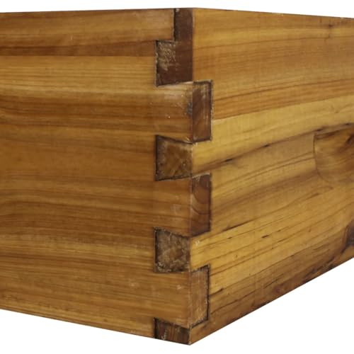 Hoover Hives 10 Frame Medium Super Box for Honey Bee Hives Hoover Hives