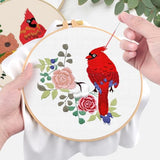 ERKOON 4 Sets Embroidery Kit, Animal Cross Stitch Set for Include Embroidery Cloth Hoops Threads for Craft Lover Hand Stitch (Cardinal)