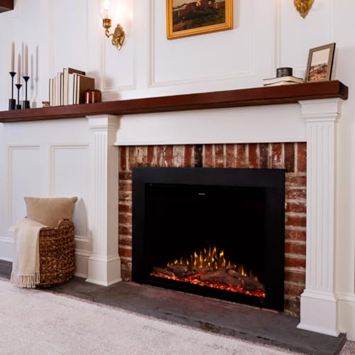 Touchstone Fireplug 24" Electric Fireplace Insert for Existing Masonry Fireplaces | 6 Flame & 13 Ember Colors | Alexa & WiFi Compatible | 1500W Heater Touchstone