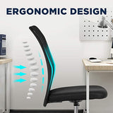 FDW Home Office Chair Mid Back Mesh Desk Chair Armless Computer Ergonomic Task Rolling Swivel Chair Back Support Adjustable Modern with Lumbar Support,Black FDW