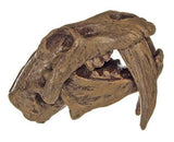 KLUTZ Make Your Own Bath Bombs Activity Kit Scholastic