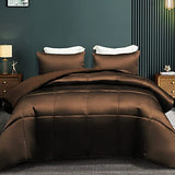 Whale Flotilla 3-Piece Reversible Silky Soft Queen Comforter Bedding Set, Luxurious Satin Comforters Full Size with 2 Satin Pillowcases, Lightweight Duvet for All Seasons, Brown Whale Flotilla