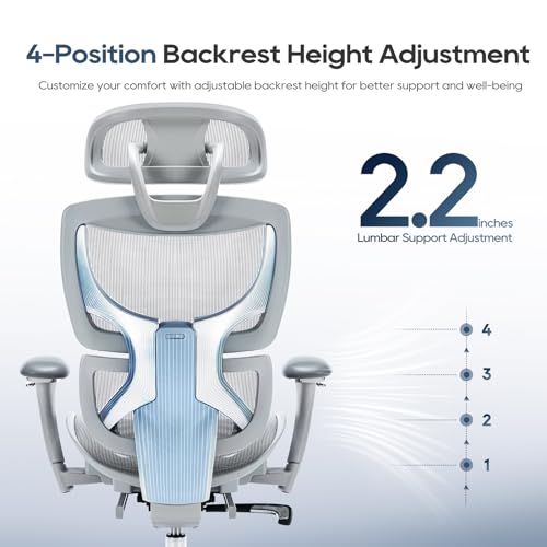 COLAMY Ergonomic Mesh Office Chair, High Back Desk Chair with Footrest, Adjustable Headrest and 3D Arms, Fixed Tilt Lock, Lumbar Support, Breathable Mesh Computer Chair for Home Office,Grey COLAMY