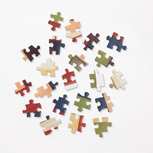 Gee's Bend: Get Ready: A Quilt Print Jigsaw Puzzle: 1,000 Pieces: Jigsaw Puzzles for Adults Clarkson Potter