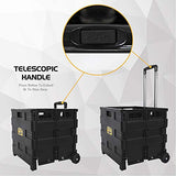 Olympia Tools 85-010 Grand Pack-N-Roll Portable Tools Carrier with Telescopic Handle, 80 Lb. Load Capacity, Black Olympia Tools