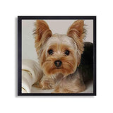 Puraikcmi 5D DIY Diamond Art Painting Yorkie Yorkshire Terrier Dog 16X16 inches Full Round Drill Rhinestone Embroidery for Wall Decoration Puraikcmi