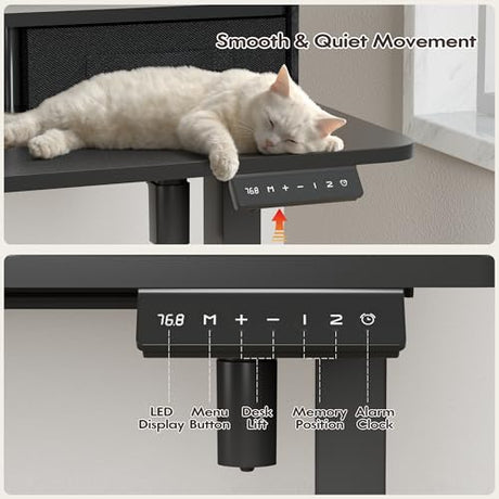Furmax Electric Standing Desk with Drawers, Stand Up Desk with Storage Shelf Height Adjustable Computer Desk with Organizer for Home Office Ergonomic (Black, 55 Inch) Furmax