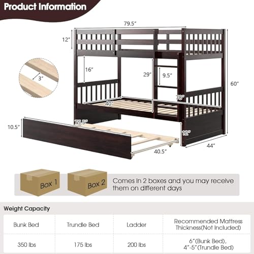 HOMGX Twin Over Twin Bunk Bed with Trundle, Wooden Removable Shelf Bunk Bed w/Ladder & Full Length Guardrail, Space-Saving Convertible Bunk Beds for Homes & Dorms (Espresso) WoodArtSupply