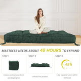 8 Inches Futon Mattress Queen Size, Futon Sofa Couch Bed with Straps, Thick Corded Fabric Floor Futon Mattress for Adults, Sleeping Mat Foldable Mattress for Camping, Green(Frame Not Included) Bliss Homey