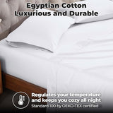 Superior 100% Premium Combed Cotton, 300 Thread Count Pillowcases Set of 2, Single Ply Cotton, Soft and Luxurious Bedding Sets - 20" x 30" Standard Pillowcase, White Superior