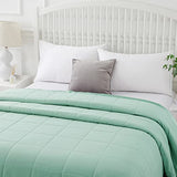 COMFLIVE Queen Blanket with Satin Trim, Bed Blanket for All Seasons - Winter Summer Comfort Soft (Green, Full/Queen) COMFLIVE
