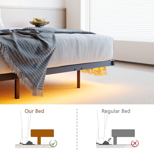 HOJINLINERO Floating Queen Bed Frame with Headboard&Storage Shelf,Ergonomic Queen Size Bed Frame with USB Charging& LED Lights,Platform Bed Frame Noise-Free Metal Slats | Modern Bedroom Design HOJINLINERO