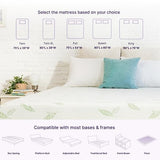 NapQueen Twin XL Size Mattress, 12 Inch Anula Green Tea Infused Memory Foam Mattress, Twin XL Size Mattress Bed in a Box, CertiPUR-US Certified Mattress NapQueen