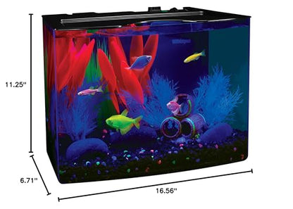 GloFish Crescent Aquarium Kit 5 Gallons, Includes Hidden Blue LED Light And Internal Filter - WoodArtSupply