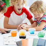 BenBen Crystal Growing Kit for Kids, Grow 6 Crystals with Light Up Display Stand, Educational STEM Toys for Girls and Boys, Science Kit for Kids Age 8-14, Birthday Gifts Science Experiments BenBen