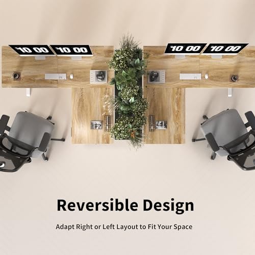 TIQLAB L Shaped Standing Desk Adjustable Height, Electric Corner Standing Desk, 63 x 55 inch Sit Stand Computer Table with Splice Board, Maple TIQLAB
