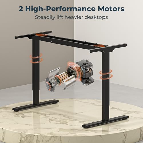 FitStand Dual Motor Standing Desk, Large Stand Up Desks, 79x31 Inches Electric Sit Stand Desk, 4 Memory Preset Adjustable Height Home Office Desk (Black) FitStand