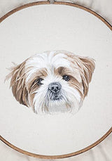 Pet Portrait Embroidery: Lovingly Stitch Your Dog or Cat; A Modern Guide to Thread Painting C&T Publishing