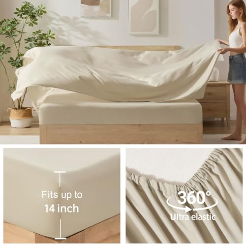 Homelike Moment Queen Comforter Set with Sheets, 7 Piece Beige Comforter Set Queen Size, Full Size Bed in a Bag Lightweight and Machine Washable Homelike Moment