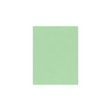 LUXPaper 8.5" x 11" Paper | Letter Size | Pastel Green | 60lb. Text | 50 Qty LUXPaper