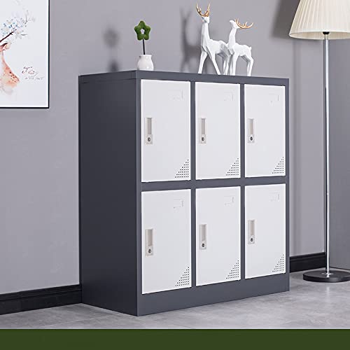 MAYROY Metal Locker Office Storage Locker Home Steel Locker School Storage Organizer, Storage Cabinet for Kids Students Employee (Gray, W6D) MAYROY