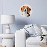 Punch Needle Kits Beagle Dog Embroidery Starter Set with Hoop Easy for Beginners DIY Stress Relief Handmade Craft Hobby and Home Decor 20x20cm-1