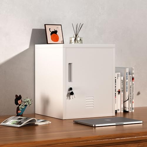 JINGUR Metal Storage Locker Cabinet with Locking Door and Adjustable Shelf for Home Office Classroom Workshop Organization (White) JINGUR