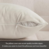 MIULEE Velvet Pillow Cover Soft Luxury Decorative Throw Pillow Cover Eruo Sham Single Rectangle Cushion Case for Couch Sofa Bedroom Car Decor,24x24 Inch Cream White MIULEE